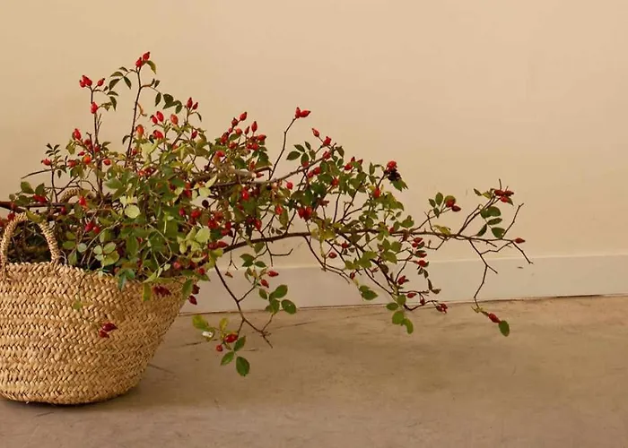 Domek alpejski El Balcon De Tenzuela Segowia